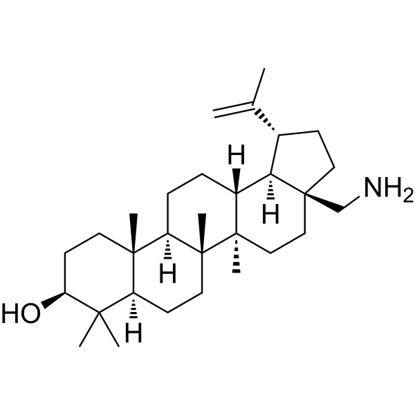 28-Aminobetulin 25613-16-5